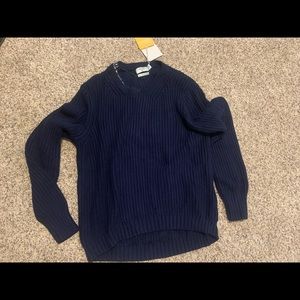 Blue Sweater (Target 20th anniversary)